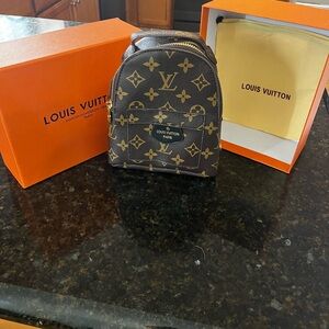 Louis Vuitton Palm Springs Mini Backpack